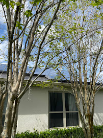 SoftWash Systems - Photo 7 - Car repair in Sanford, FL, Deltona