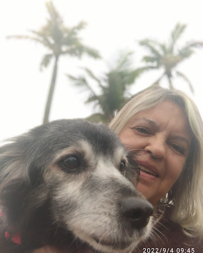 Brasil Vet Hospital Veterinário 24h em Presidente Prudente - SP