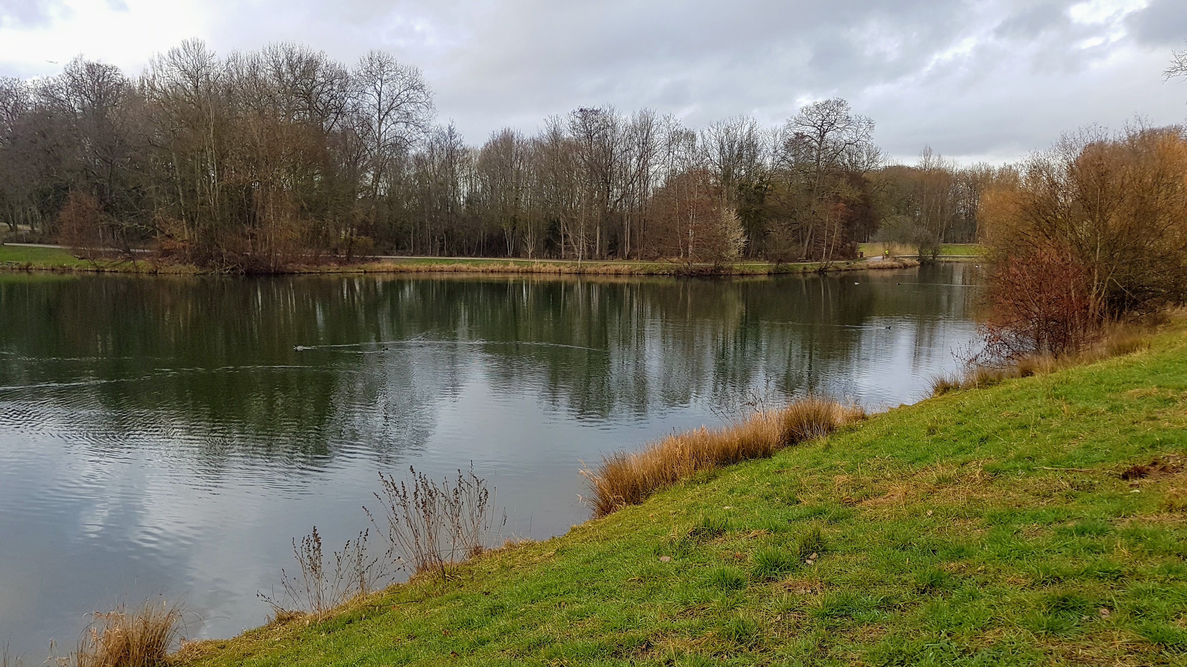 Photo n° 18 de l'avis de Jean-marie.o fait le 06/03/2019 à 12:51