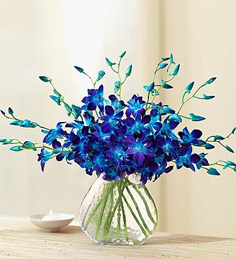 Florist «La Fleur Florals and Events», reviews and photos, 2047 Wilton Dr, Wilton Manors, FL 33305, USA