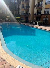 Pool Sharks of Tampa Bay - Photo 7 - Car repair in Tampa, FL, Tampa