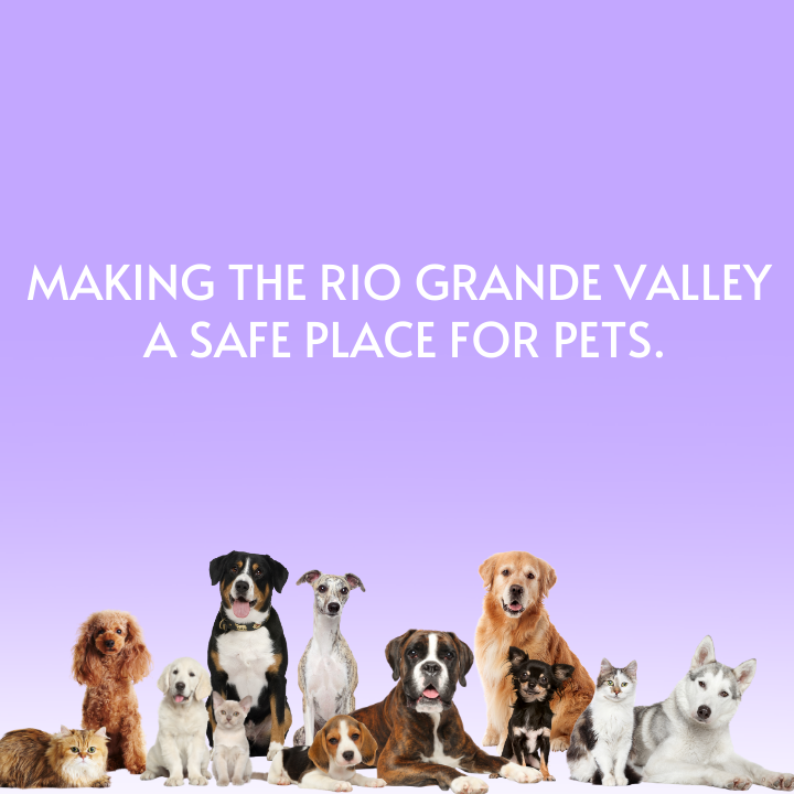 Rio Grande Valley Humane Society at Mission