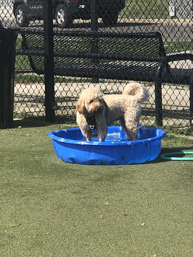 Dog Park «Bay Park Dog Park», reviews and photos, 2 Marjorie Ln, East Rockaway, NY 11518, USA