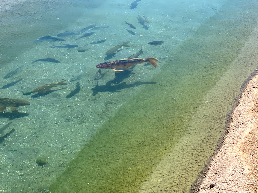 Golf Resort «Wigwam Golf Club», reviews and photos, 451 N Old Litchfield Rd, Litchfield Park, AZ 85340, USA