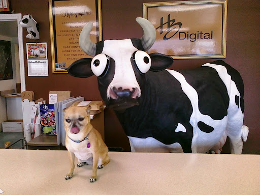 Print Shop «HB Digital & Home Run Media Group», reviews and photos, 1615 Alabama St, Huntington Beach, CA 92648, USA