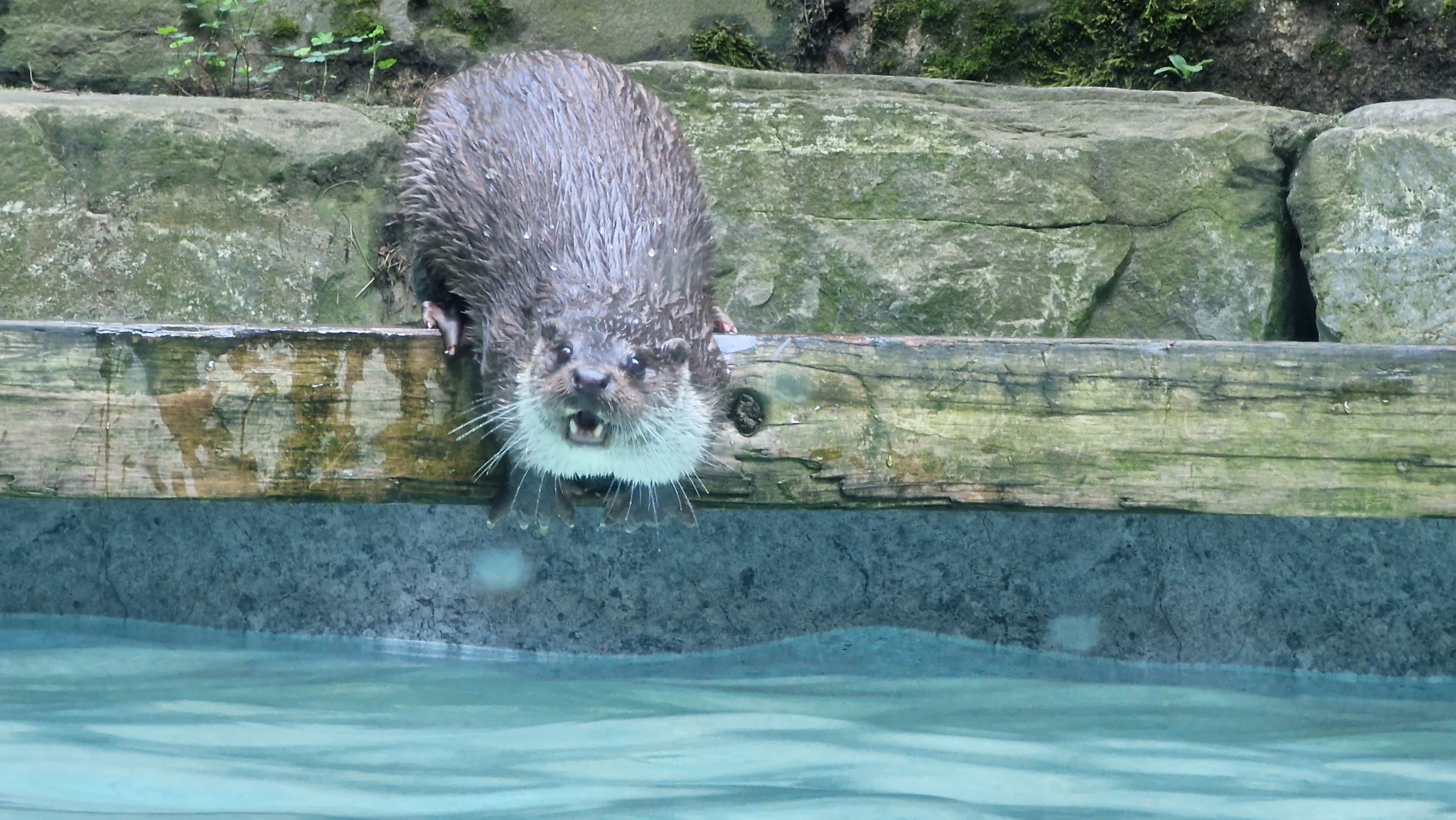 Photo n° 12 de l'avis de Andre.e fait le 09/08/2022 à 17:59