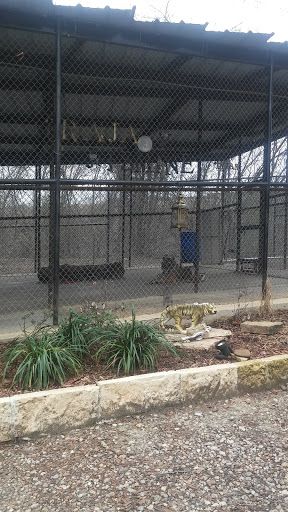 Wildlife Rescue Service «In-Sync Exotics», reviews and photos, 3430 Skyview Dr, Wylie, TX 75098, USA