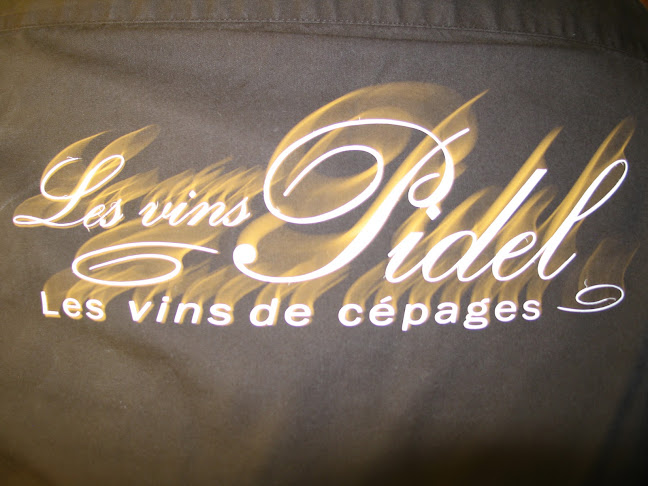 Vins Pidel - Pierre Delaye - Luik