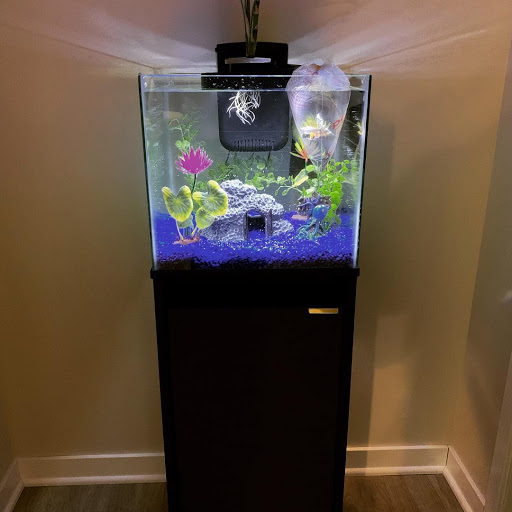 Pet Supply Store «PetSmart», reviews and photos, 5050 SE 14th St, Des Moines, IA 50320, USA