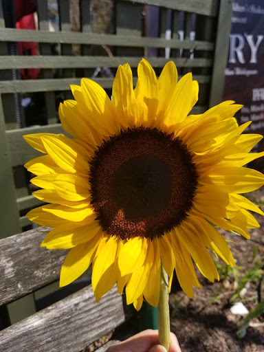 Mediterranean Restaurant «Art Cafe of Nyack», reviews and photos, 65 S Broadway, Nyack, NY 10960, USA