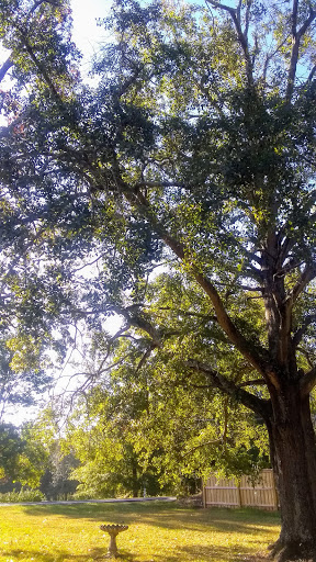 Golf Club «Monroe Golf and Country Club», reviews and photos, 1414 Alcovy St, Monroe, GA 30655, USA