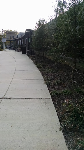 Community Center «Merrifield Center CSB», reviews and photos, 8221 Willow Oaks Corporate Dr, Fairfax, VA 22031, USA