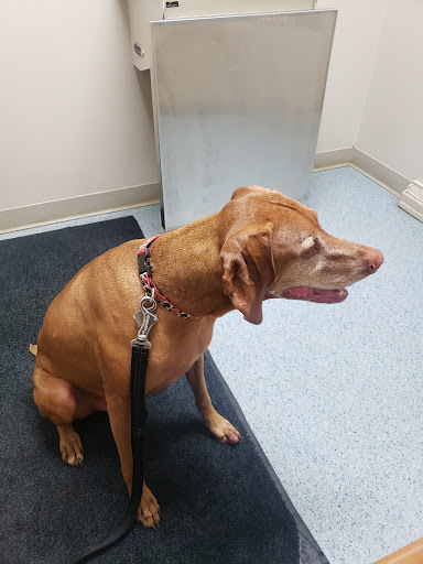 Berrien Veterinary Services image