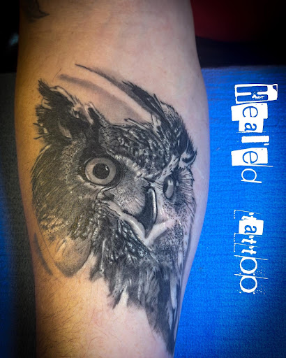 Explore skydiving tattoo ideas, creative tattoo ideas in Moweaqua, available at Fleshwound Tattoo