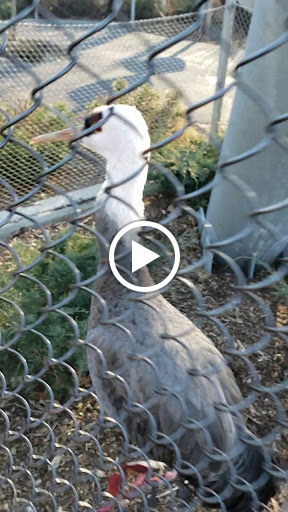 Park «Franklin Park», reviews and photos, 1 Franklin Park Rd, Boston, MA 02121, USA