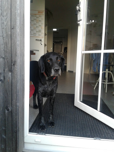 Tierärztliche Praxis für Kleintiere Dr. Ingrid Sobotta unter Mettenheim, Bayern
