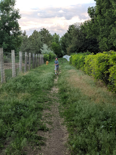 Country Club «Cherry Hills Country Club», reviews and photos, 4125 S University Blvd, Cherry Hills Village, CO 80113, USA