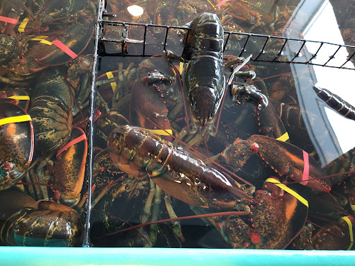 Seafood Market «Dorr Lobster Seafood Market», reviews and photos, 372 Shore Rd, Ellsworth, ME 04605, USA