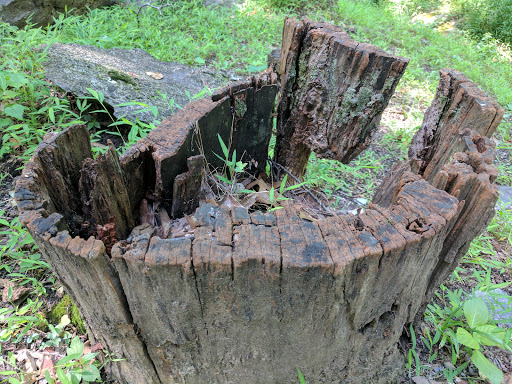 Caterer «Smokey Glen Farm», reviews and photos, 16407 Riffle Ford Rd, Gaithersburg, MD 20878, USA