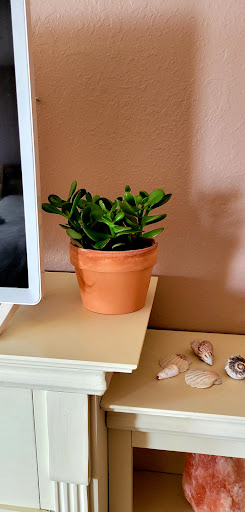 Department Store «Walmart Supercenter», reviews and photos, 3001 Broadway St, Yankton, SD 57078, USA