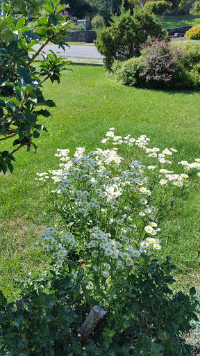 Country Club «Glen Oak Country Club», reviews and photos, 250 Oakford Rd, Clarks Summit, PA 18411, USA