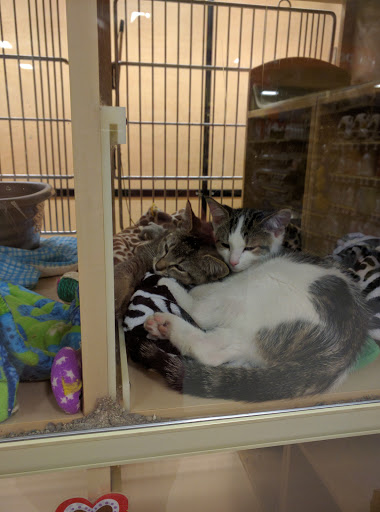 Pet Supply Store «PetSmart», reviews and photos, 8537 W Grand River Ave, Brighton, MI 48116, USA