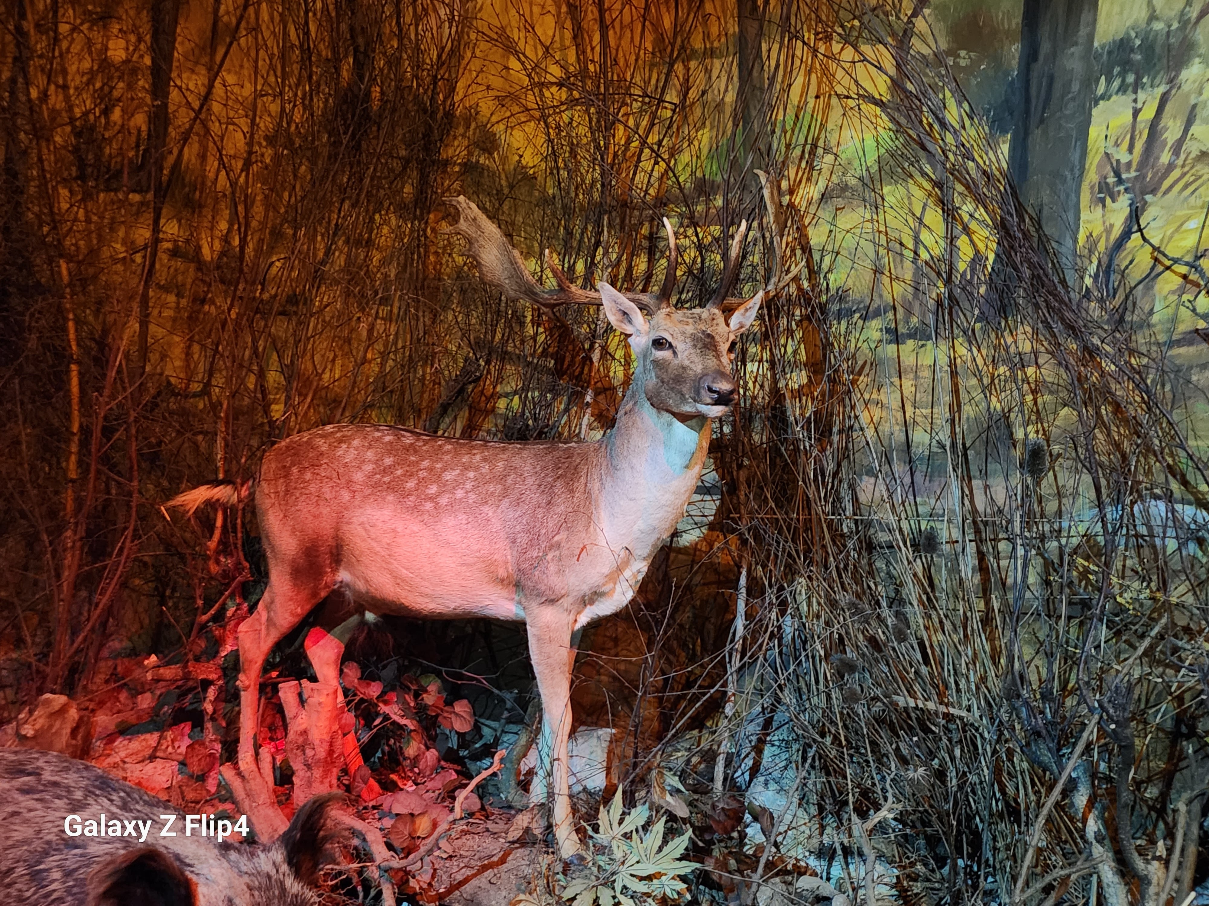 Photo n° 7 de l'avis de pascal.h fait le 02/05/2023 à 19:13