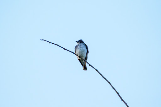 Nature Preserve «Kishwauketoe Nature Conservancy», reviews and photos, 251 Elkhorn Rd, Williams Bay, WI 53191, USA