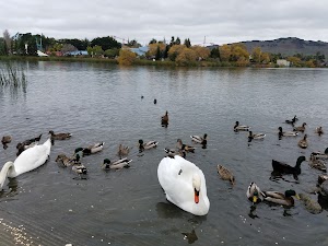 Dan Foley Park - photo 68