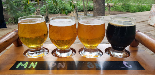 Antigua Cerveza :: El Bosque