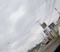 Papigochi Restaurant photo