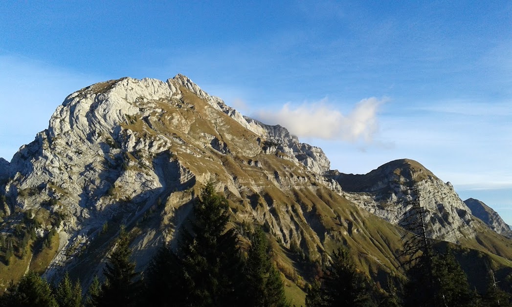 Chalet De La Froulaz à Talloires-Montmin