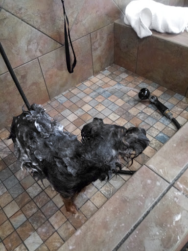 Pet Supply Store «Pet Valu», reviews and photos, 3491 Merchant Boulevard, Abingdon, MD 21009, USA