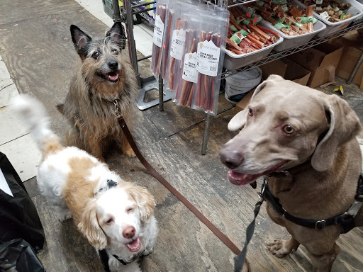 Pet Supply Store «Spoiled Brats», reviews and photos, 4 Bennett Ave, New York, NY 10033, USA