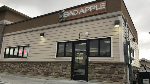 Mobile Phone Repair Shop «Bad Apple», reviews and photos, 437 E 12300 S, Draper, UT 84020, USA