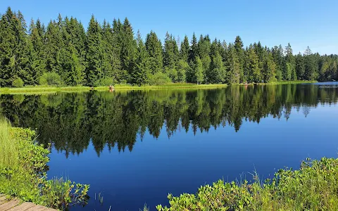 Etang de la Gruère image