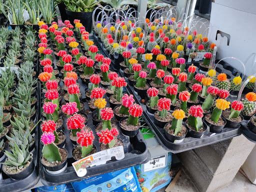 Home Improvement Store «The Home Depot», reviews and photos, 14085 Northwest Fwy, Houston, TX 77040, USA