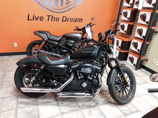 Motorcycle Dealer «Yankee Harley-Davidson Inc», reviews and photos, 488 Farmington Ave, Bristol, CT 06010, USA
