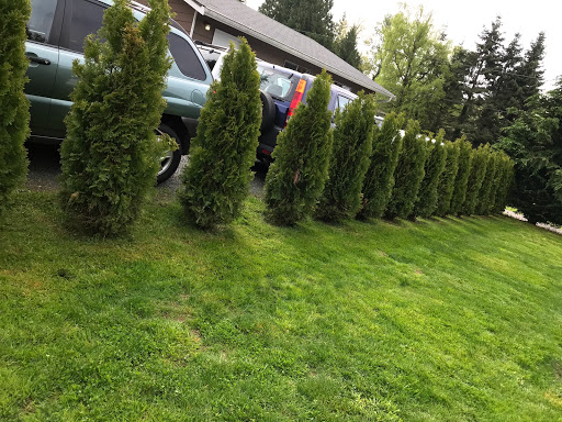 Park «Mineral Springs Park», reviews and photos, 1500 N 105th St, Seattle, WA 98133, USA