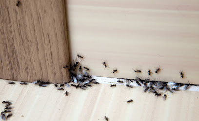 Ledford's Termite & Pest Control - Charleston Office