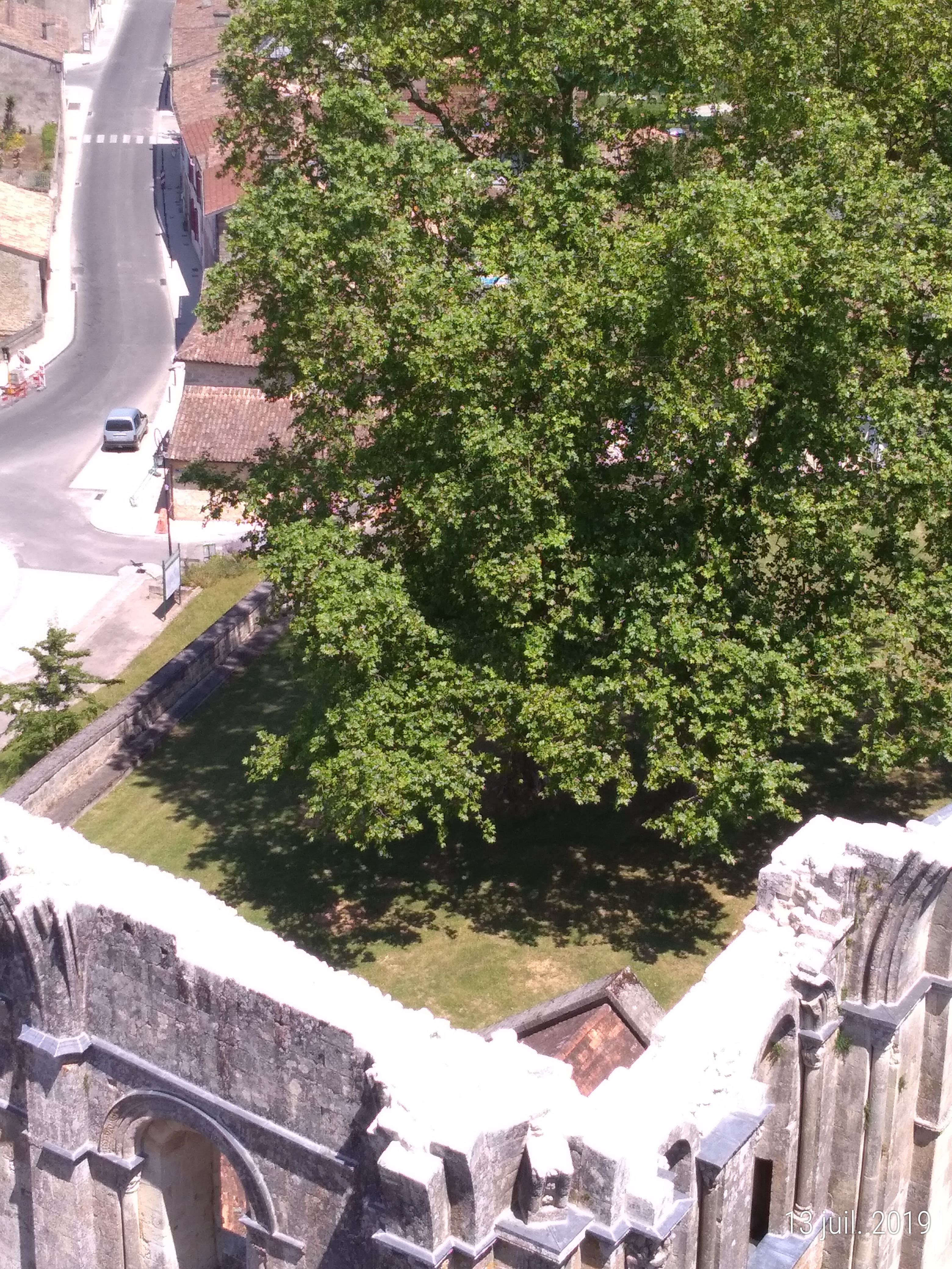 Photo n° 10 de l'avis de Cécile.a fait le 13/07/2019 à 16:06