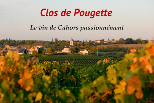 Vignoble Clos de Pougette à Saint-Vincent-Rive-d'Olt