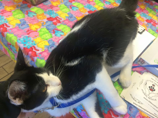 Pet Store «Pets of Portage», reviews and photos, 2219 W Wisconsin St, Portage, WI 53901, USA