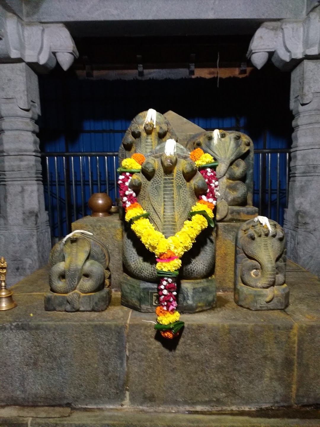 Naag devta ji