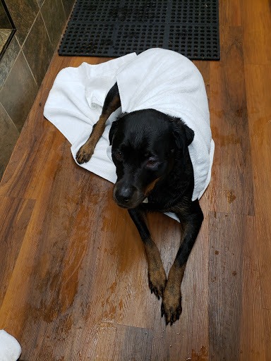 Pet Store «Pet Valu», reviews and photos, 104 Baltimore Pike, Springfield, PA 19064, USA