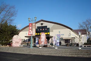 Narusawa Mt. Fuji Museum image