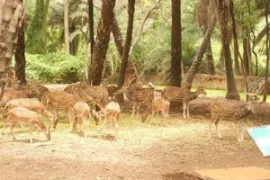 Deer Park image