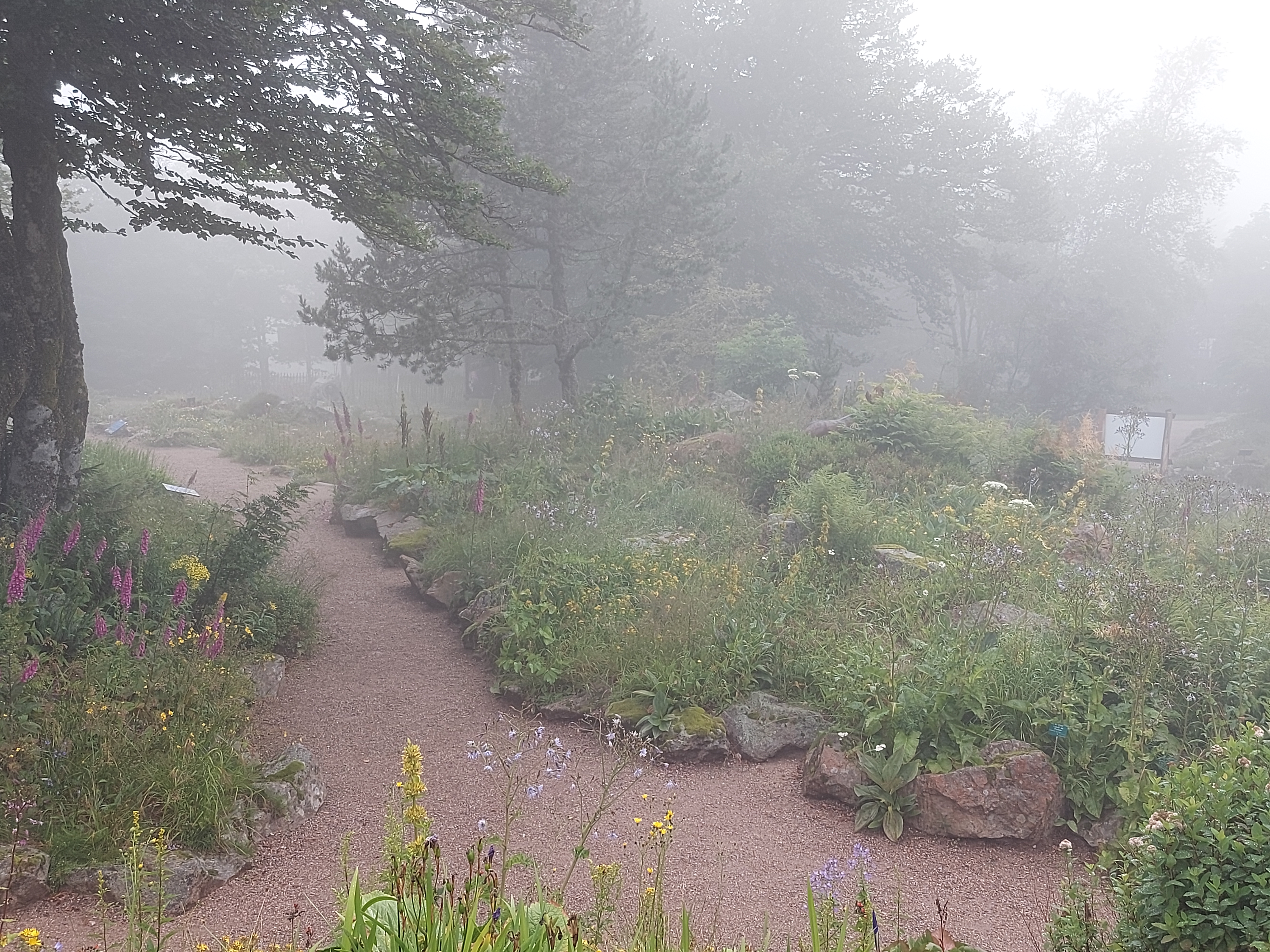 Photo n° 1 de l'avis de Mathis.W fait le 03/08/2021 à 16:04