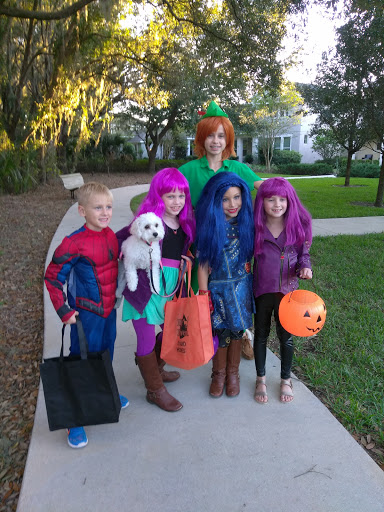 Community Center «Starling Club at Fishhawk Ranch», reviews and photos, 15808 Starling Crossing Dr, Lithia, FL 33547, USA