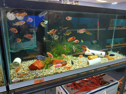 Tropical Fish Store «Richmond Aquarium», reviews and photos, 3645 Speeks Dr, Midlothian, VA 23112, USA